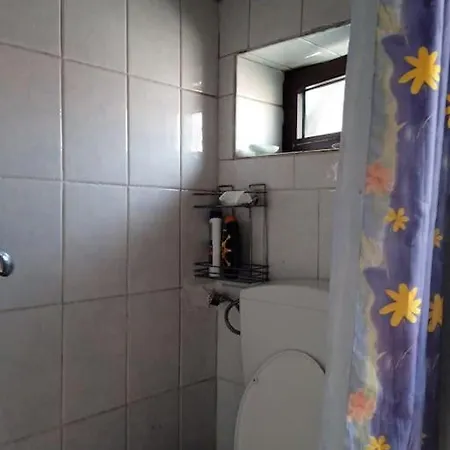 Artistic City Haven With Garden * Tirana
